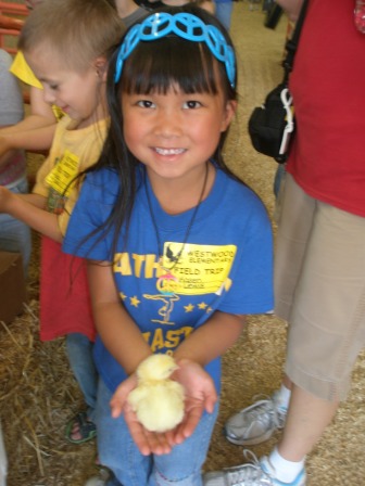 Kasen holding a baby chick at Farm City Day